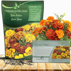 Outsidepride French Marigold Seeds Mix - 1 Lb. Annual, Compact, Heat & Drought Tolerant Flower Seeds for Planting w/Orange & Yellow Prolific Blooms, Ideal for Vibrant Pollinator Gardens