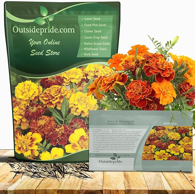 Outsidepride French Marigold Seeds Mix - 1 Lb. Annual, Compact, Heat & Drought Tolerant Flower Seeds for Planting w/Orange & Yellow Prolific Blooms, Ideal for Vibrant Pollinator Gardens