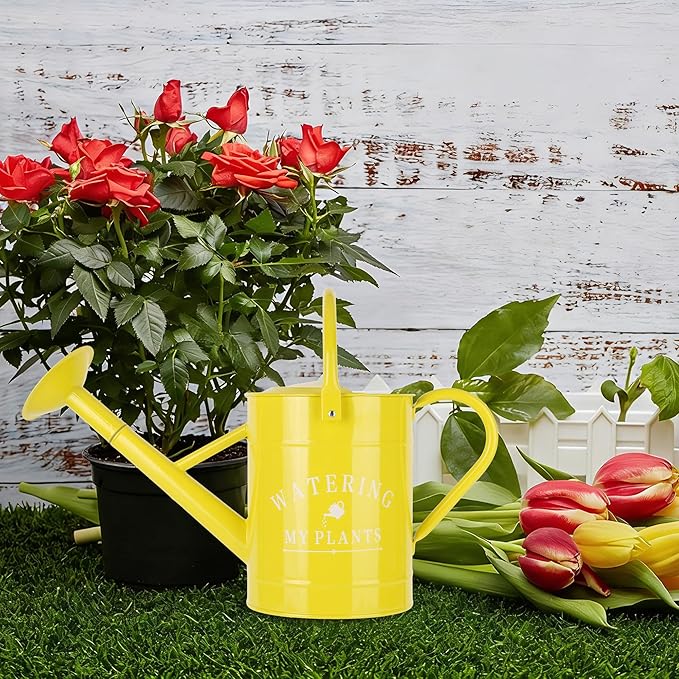 Galvanized Watering Can for Outdoor Indoor Plants, 1 Gallon Decorative Countryside Water Can with Removable Spout, Metal Watering Can for Indoor Plants and Garden Flower (Yellow)