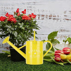 Galvanized Watering Can for Outdoor Indoor Plants, 1 Gallon Decorative Countryside Water Can with Removable Spout, Metal Watering Can for Indoor Plants and Garden Flower (Yellow)