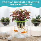 3 Sets Hydroponic Planter Pot Kit Plant Propagation Station Vase Terrarium Glass Planter Indoor Self Watering Planters Herb Garden Kit for Seed Starting Root Monitoring Garden