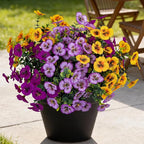 17 Inch Artificial Faux Pansy Flowers for Outdoor,Fake Pansies Flowers with Eucalyptus Leaves Fake Plants Greenery Boxwood Porch Patio Decor 6 Bundles(Pink Purple,Dark Yellow,Magenta)