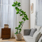 Bailikang 7.2ft Artificial Rubber Tree Faux Plants Indoor Faux Floor Artificial Trees Indoor,Fake Plant Fake Tropical Plants,Large Floor,Real Touch Rubber Tree for Home Decor