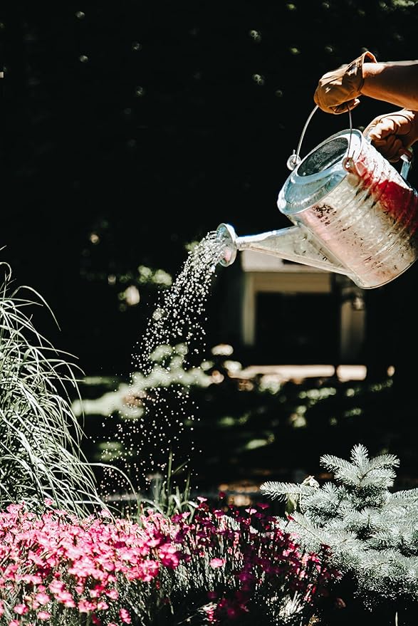 Behrens 2 Gallon Hot Dipped Steel Watering Can