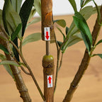 Nearly Natural Olive Tree - 3FT Tall Silk Faux Olive Tree for Home and Office Decor, Realistic Branches and Lifelike Fruits, Natural Wood Trunk, Potted