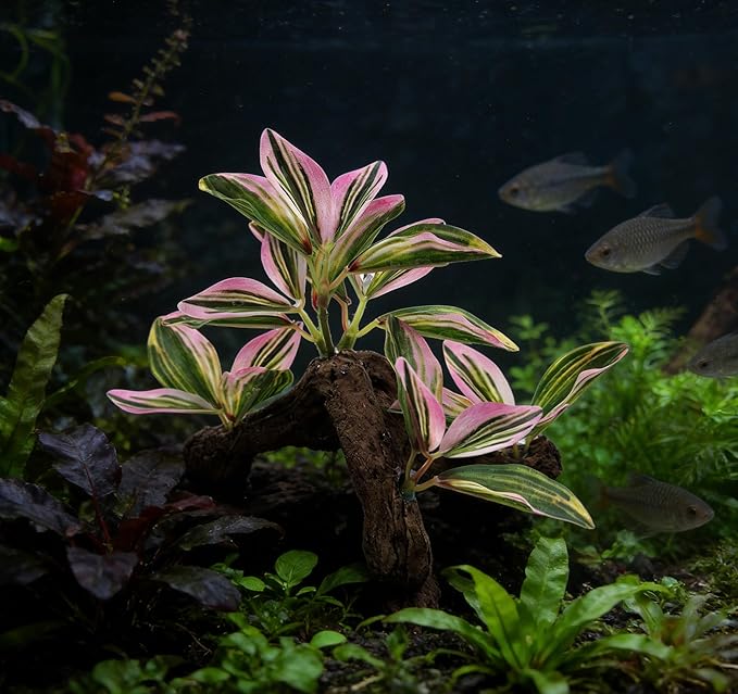 M2cbridge Fish Tank Plastic Soft Grass Artificial Betta Water Plants Decoration Goldfish Hide 2pcs (Pink)