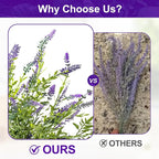 2 Pack Artificial Lavender Plants in Pots Artificial Potted Plants Fake Flower Plant Real Touch Silk Faux Plants Greenery for Indoor Porch Patio Greenery Farmhouse Garden Office Decor (Type 4)