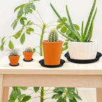 Augshy 18 Piece Plant Tray, 4/6/8/10 inch 4 Sizes Black Plastic Flowerpot Heavy Plant Drip Tray for Gardens, Balconies and Indoors