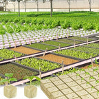 Halatool 1.5 Inch Rockwool Cubes Garden Rock Wool Grow Cubes Starter Plugs for Hydroponics Soilless Cultivation Seedlings Cuttings Clone Plants Germination Start (2 Sheets, 98 Plugs in Total)