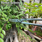 vouiu 6-Piece Bonsai Tool Set,Concave Cutter,Knob Cutter,Jin Pliers,Wire Cutter,Bonsai Scissors, Root Hook