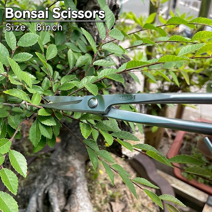 vouiu 6-Piece Bonsai Tool Set,Concave Cutter,Knob Cutter,Jin Pliers,Wire Cutter,Bonsai Scissors, Root Hook
