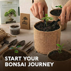 Bonsai Tree Kit for Beginners – 5X Unique Japanese Bonzai Trees | Complete Indoor Bonsai Starter Kit for Growing Bonsai Plants with Tools & Planters – DIY Gardening Gifts for Women & Men