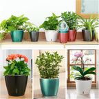 Self-Watering Pots for Indoor Plants, 8-Pack 6.7'' Self Watering Planter with Drainage Holes, Small African Violet Pots with Water Indicator, Clear Wick Pot, White