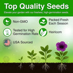 5500+ Petunia Seeds, Pack for 2026 USA Premium Non-GMO Flower Seeds Mixed Rainbow Color, Bonsai, Grandiflora Flowers, Pollinator Garden, Open Pollinated, Indoor and Outdoor