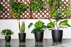 6 Inch Plant Pot - Ceramic Planters for Indoor Outdoor Plants, Modern Flower Pots with Drainage Hole and Saucer, Round Ceramic Planter, Office Room Decor, Gifts for Plant Lovers, Matte Black