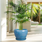 Ceramicfor Ceramic Planter - 8 Inch Plant Pot with Drainage Hole and Saucer, Glaze Round Flower Pot for Home Garden Patio Office, Blue