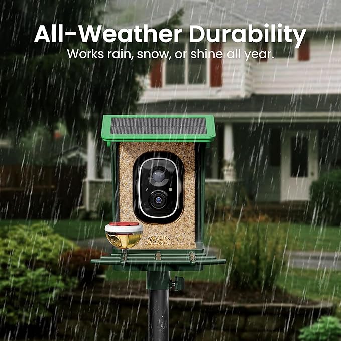 Bird Feeder with Camera Solar Powered 2K HD Video, 10,000+ Species AI Recognition, Real-Time App Alerts, and Weatherproof Design for Effortless Birdwatching, Gift for Father's Day, Grass Green