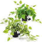AceList 2 Pack Fake Plants, Artificial Plants for Home Decor Indoor, Realistic Fake Watermelon Leaves with Black Pot for Bedroom Living Room Shelf Outdoor Office Decor