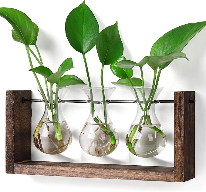 YIBOT Wall Hanging Planter Propagation Station Glass Flower Vase for Hydroponics Plants, Plant Terrarium with Wooden Stand, Bathroom, Home Office Living Room Decor Gift