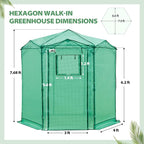 EAGLE PEAK 6.6x6.6 Portable Walk in Greenhouse, Pop Up Indoor Outdoor Greenhouse, Green House Kit with Zippered Roll-Up Doors and Windows, Hexagon Design, PE Cover, Clear/Green