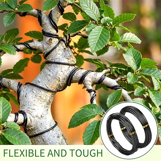 Mudder 5 Roll Aluminum Bonsai Training Wire Tree 160 Feet Total with Bonsai Wire Cutter Anodized Training for Holding Branches Small Trunks(1/1.5/2.0/2.5/3mm,Black)