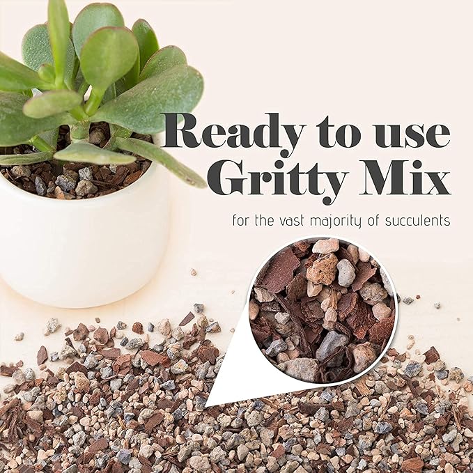 Bonsai Jack Succulent, Cactus and Bonsai Soil - Jacks Gritty Mix - 2 Gallons – Fast Draining – Fight Root Rot – Optimized pH