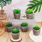 Succulents Plants Artificial Set of 6 Small Realistic Fake Succulent Plant in Pots Realistic Faux Greenery Plants Potted for Home Office Desk Indoor Bedroom Living Room Decoration