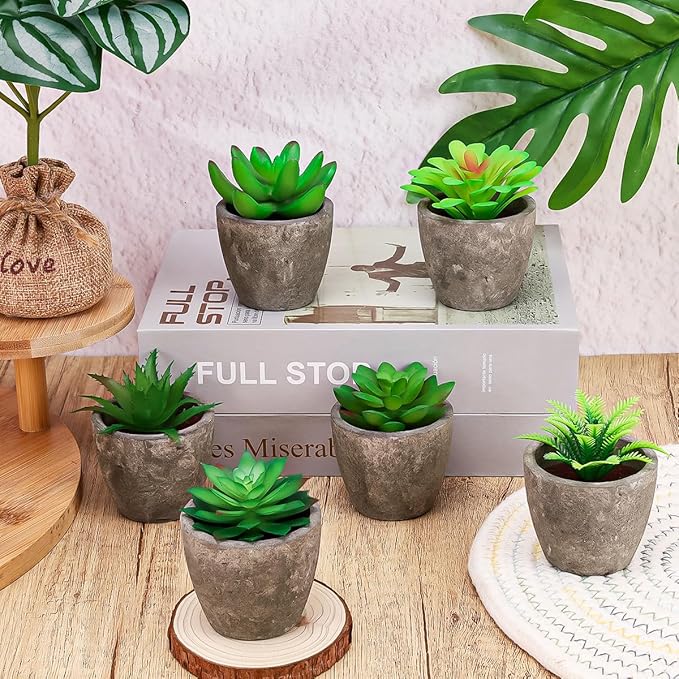 Succulents Plants Artificial Set of 6 Small Realistic Fake Succulent Plant in Pots Realistic Faux Greenery Plants Potted for Home Office Desk Indoor Bedroom Living Room Decoration