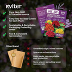KVITER 500 Dwarf Mix Cockscomb Seeds for Planting (Celosia argentea) – Woolflower Rooster Comb Celosia Seeds for Planting Flowers – Heirloom Flowers Plant Seed Mix Garden Container Flower Beds Outdoor