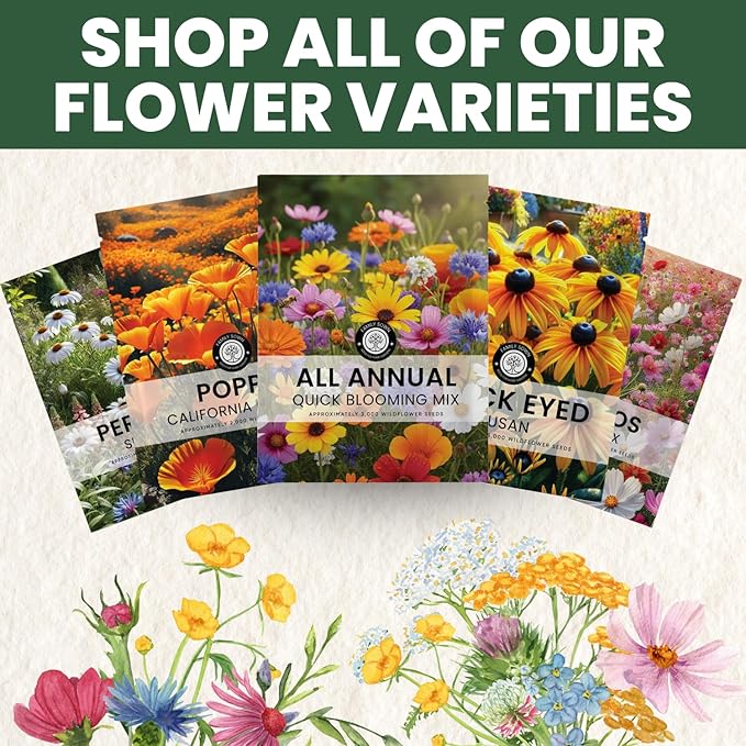 All Annual Quick Blooming Mix - 67,000 Flower Seeds for Planting - Wildflower Mix - Large 4 Ounce Packet
