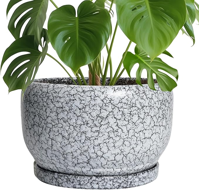 SQOWL Ceramic Planters - 10 Inch Ceramic Flower Pot with Drainage Hole and Saucer, Decorative Plant Pot Indoor, Round Large Planter Outdoor, Bathroom Decor, Gifts for Plant Lovers, Black and White