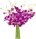 KaBloom - Bouquet of 10 Purple Orchid - Fresh Flowers for Birthday, Valentine's & Mother's Day