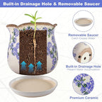 Ceramic-Planters-for-Indoor-Plants with Saucer, 6 inch Vintage Ice Crackle Glaze Plant Pots with Drainage Holes, Decorative Flower Pots for Outdoor Garden Home Decor, Tuscan Pot for Plant