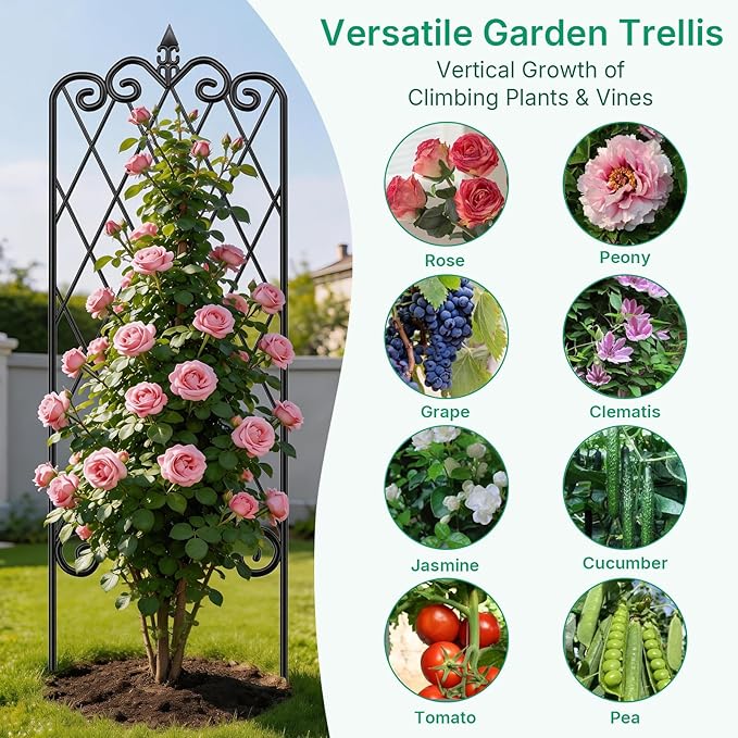 AMAGABELI GARDEN & HOME 4 Pack 60” x 18” Garden Trellis for Climbing Plants Outdoor Garden Fencing Decorative Plant Trellis Vegetables and Rose Trellis for Ivy Cucumbers Black