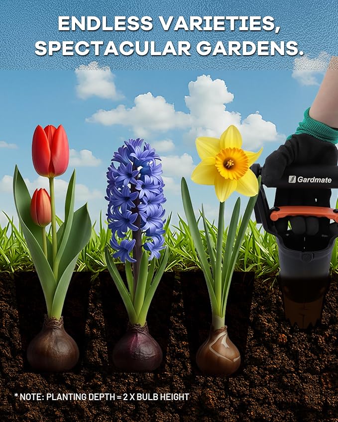 Bulb Planter Tool - One-Touch Automatic Bulb Planter for Bulbs, Seeds & Seedlings - Stainless Steel Garden Bulbs Dibber with Ergonomic Handle - No Bend Planting Tool with Gloves & Brush