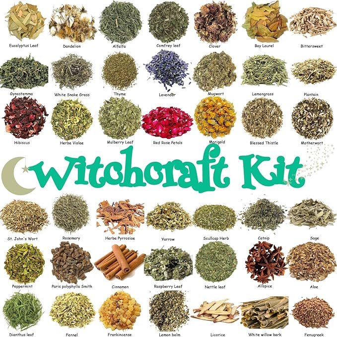 42Pcs Set Dried Herbs Witchcraft Supplies kit, Witchy Herbs and Flowers Gift for Witch Beginner, Wiccan,Wicca Altar Supplies Decor, Pagan, Magic Ritual and Spell