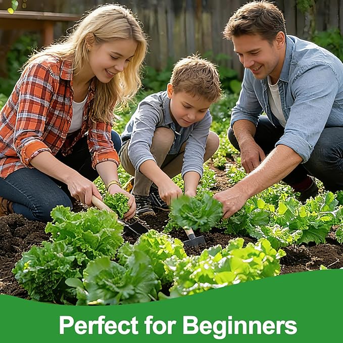 Lettuce Seeds, 10 Varieties Individual Packs, 60000+ Non-GMO Heirloom Vegetable Seeds for Planting Indoor Outdoor for Fresh Salad, Easy to Grow for Garden Beginners, Gifts for Women Men Plant Lovers.