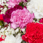 Benchmark Bouquets - Carnation Mix - Fresh Flowers for Delivery - Mothers Day Flowers - Get Well Gifts for Women - White, Purple and Pink Floral Bouquet - Glass Vase Included (26 Stems)