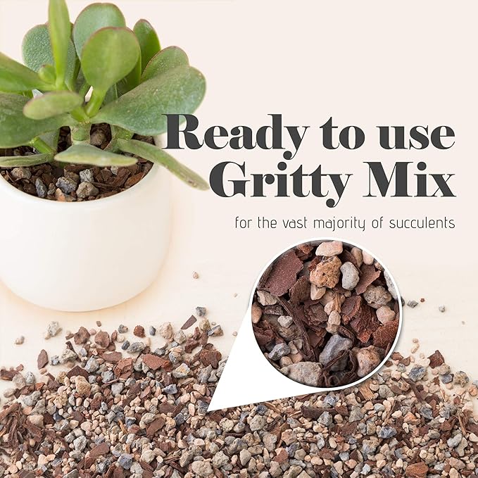 Bonsai Jack Succulent, Cactus and Bonsai Soil - Jacks Gritty Mix - 2 Quarts – Fast Draining – Fight Root Rot – Optimized pH