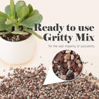 Bonsai Jack Succulent, Cactus and Bonsai Soil - Jacks Gritty Mix - 2 Quarts – Fast Draining – Fight Root Rot – Optimized pH