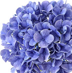4 Pcs 20 '' Real Touch Hydrangeas Royal Blue Artificial Hydrangeas Flowers Faux Latex Hydrangea for Kitchen Living Room Porch Home Decor Baby Shower Party Wedding Xmas Table Centerpiece