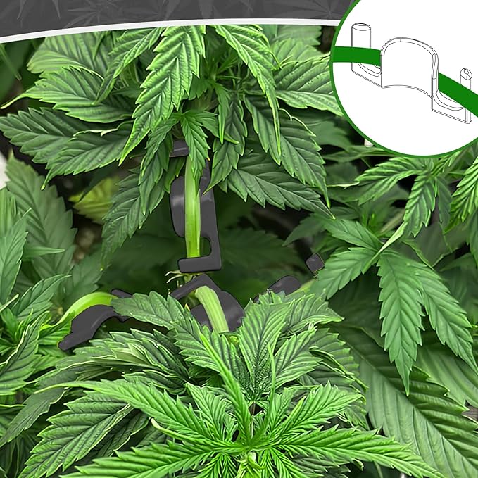 40 Pack LST Plant Training Clips – Durable & Reusable Stem Support for Low-Stress Training – Fits All Growth Stages