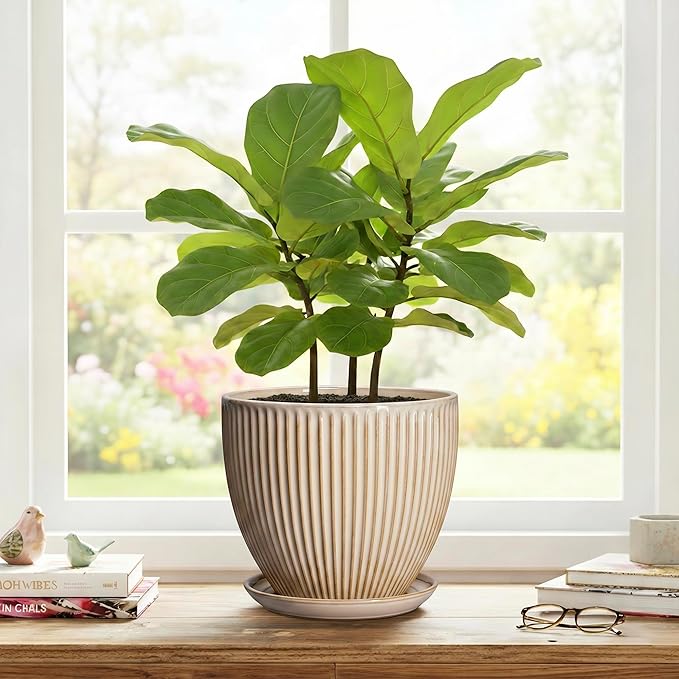 8 Inch Pots for Plants, Ceramic Planter with Drainage Hole and Saucer, Decorative Indoor Plant Pots for Snake Plants, Modern Round Flower Pot, Office House Decor, Gardening Gifts, Beige