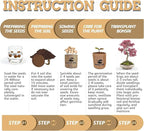 Indoor Bonsai Garden Starter Kit, 5 Seeds Growing into Red Maple, Wisteria, Black Pine, Judas Tree, Acacia, Including Complete Gardening Planters & A Planter Box for Women