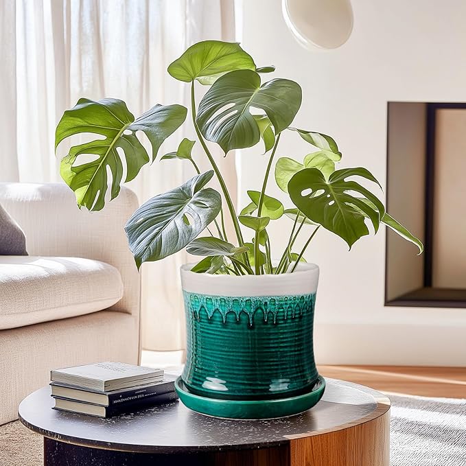 BUYMAX 8 Inch Plant Pot, Ceramic Planter with Drainage Hole and Saucer, Ceramic Flower Pot for Indoor Plants, Modern Round Flower Pots for Home and Office