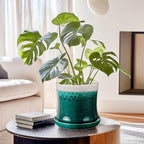 BUYMAX 8 Inch Plant Pot, Ceramic Planter with Drainage Hole and Saucer, Ceramic Flower Pot for Indoor Plants, Modern Round Flower Pots for Home and Office