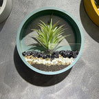 Pulovin 10 lbs Black Pebbles for Indoor Plants, Succulent, Bamboo, Vase, 3/8" Plant Rocks for Pots Indoor, Small River Rocks Decorative Pea Gravel, Highly Polished