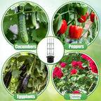 2 Sets Tomato Cages with 10-Gallon Sturdy Grow Bags, 48.5" Planter Support Trellis Pots Kit for Garden, Flowers Vegetable Cages for Cucumbers Eggplants Vertical Climbing Plants Vines