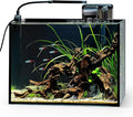 NICREW 2.5 Gallon Nano Nature Aquarium Kit, Ultra-Clear Rimless Desktop Fish Tank with Light and Filter, Perfect for Small Fish, Shrimp, or Betta, Basic Version, Black