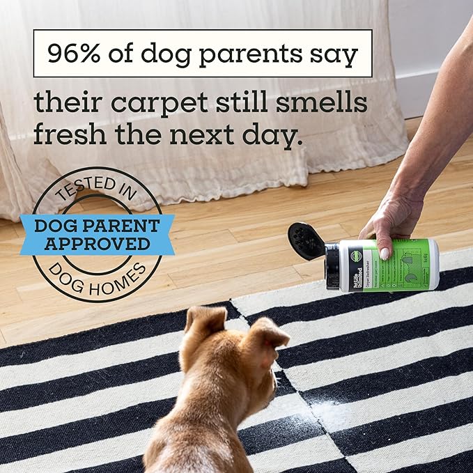 Pet Life Unlimited Carpet Deodorizer Powder, 16 oz, Strong Pet Odor Eliminator & Carpet Freshener, Plant-Based Juniper Leaf Scent, Pet Safe (Pack of 3)